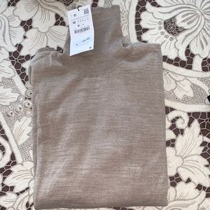 Zara Turtleneck